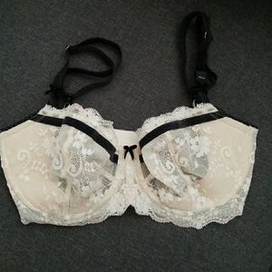 Victoria's Secret Wicked Dream Angels Push Up